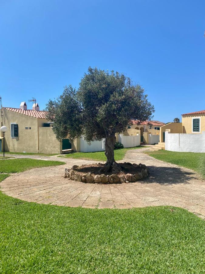 Apartamento 7 Palmeras Ciutadella  Eksteriør bilde